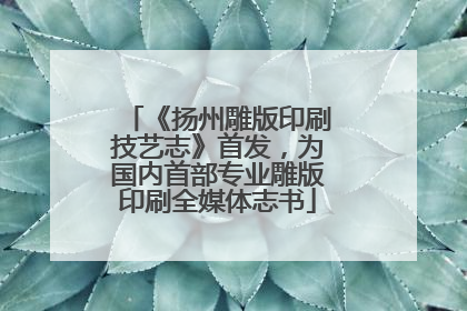 《扬州雕版印刷技艺志》首发，为国内首部专业雕版印刷全媒体志书