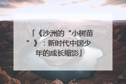 《沙洲的“小树苗”》：新时代中国少年的成长缩影