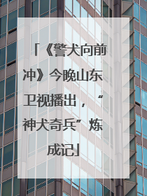 《警犬向前冲》今晚山东卫视播出，“神犬奇兵”炼成记