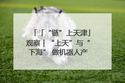 「“链”上天津」观察｜“上天”与“下海” 做机器人产业链细分领域强者