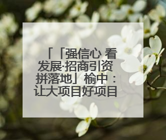 「强信心 看发展·招商引资拼落地」榆中：让大项目好项目落地见效