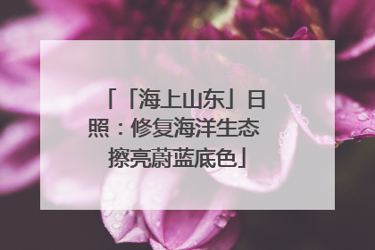 「海上山东」日照：修复海洋生态 擦亮蔚蓝底色