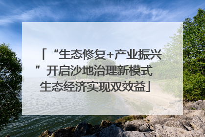 “生态修复+产业振兴”开启沙地治理新模式 生态经济实现双效益