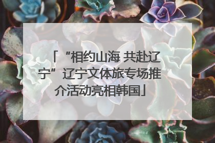 “相约山海 共赴辽宁”辽宁文体旅专场推介活动亮相韩国