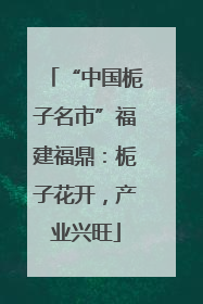 “中国栀子名市”福建福鼎：栀子花开，产业兴旺