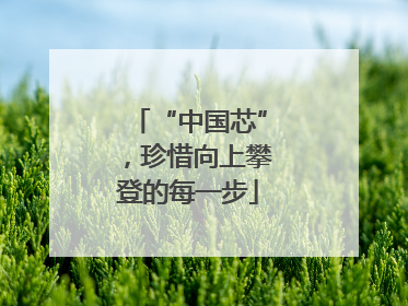 “中国芯”，珍惜向上攀登的每一步