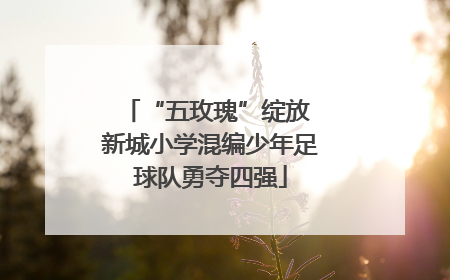 “五玫瑰”绽放 新城小学混编少年足球队勇夺四强