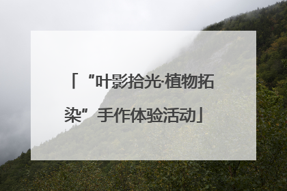 “叶影拾光·植物拓染”手作体验活动