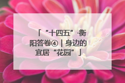 “十四五”·衡阳答卷④｜身边的宜居“花园”