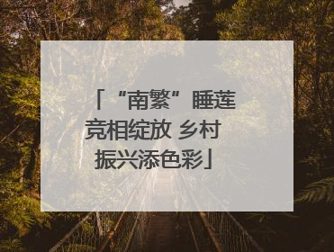 “南繁”睡莲竞相绽放 乡村振兴添色彩
