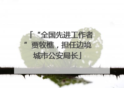 “全国先进工作者”贾牧樵，担任边境城市公安局长