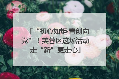 “初心如炬·青创向党”！芙蓉区这场活动走“新”更走心