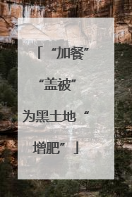 “加餐”“盖被” 为黑土地“增肥”