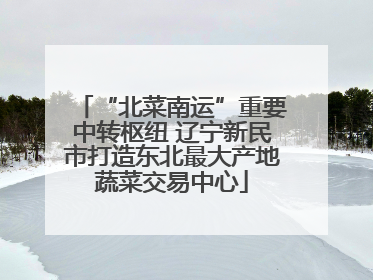 “北菜南运”重要中转枢纽 辽宁新民市打造东北最大产地蔬菜交易中心