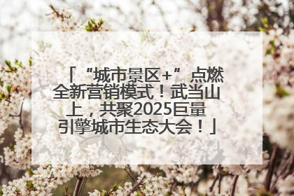 “城市景区+”点燃全新营销模式！武当山上，共聚2025巨量引擎城市生态大会！