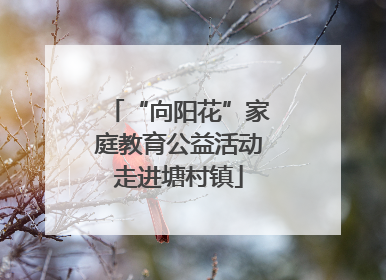 “向阳花”家庭教育公益活动走进塘村镇