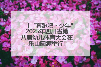 “奔跑吧・少年”2025年四川省第八届幼儿体育大会在乐山圆满举行
