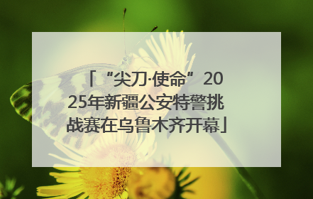 “尖刀·使命”2025年新疆公安特警挑战赛在乌鲁木齐开幕