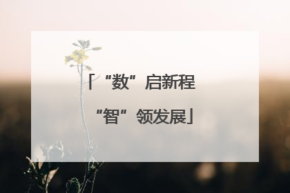 “数”启新程 “智”领发展