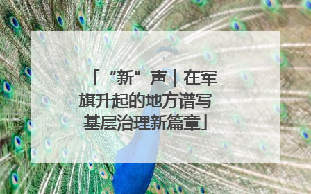 “新”声｜在军旗升起的地方谱写基层治理新篇章