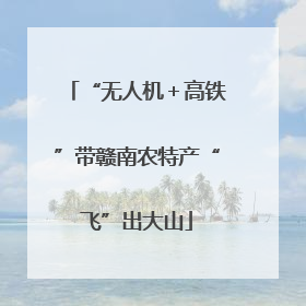 “无人机＋高铁”带赣南农特产“飞”出大山