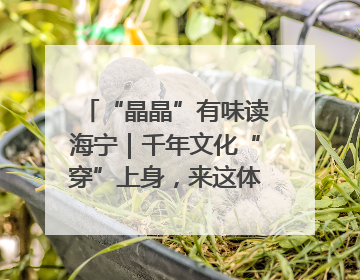 “晶晶”有味读海宁｜千年文化“穿”上身，来这体验非遗旅拍！