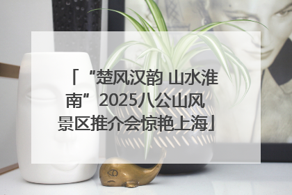 “楚风汉韵 山水淮南”2025八公山风景区推介会惊艳上海