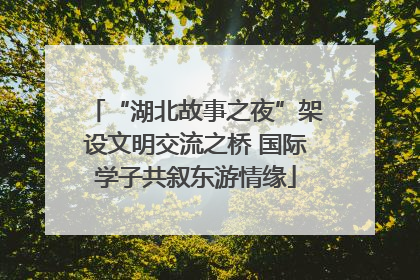 “湖北故事之夜”架设文明交流之桥 国际学子共叙东游情缘