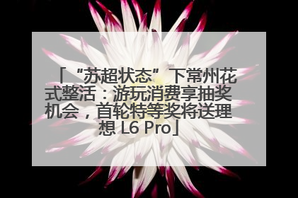 “苏超状态”下常州花式整活：游玩消费享抽奖机会，首轮特等奖将送理想 L6 Pro