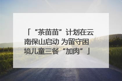 “茶苗苗”计划在云南保山启动 为留守困境儿童三餐“加肉”