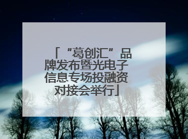 “葛创汇”品牌发布暨光电子信息专场投融资对接会举行