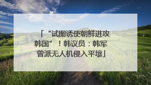 “试图诱使朝鲜进攻韩国”！韩议员：韩军曾派无人机侵入平壤