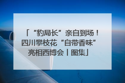 “豹局长”亲自到场！四川攀枝花“自带香味”亮相西博会丨图集