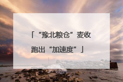 “豫北粮仓”麦收跑出“加速度”