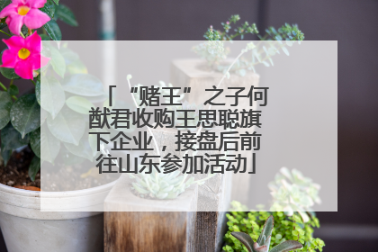 “赌王”之子何猷君收购王思聪旗下企业，接盘后前往山东参加活动