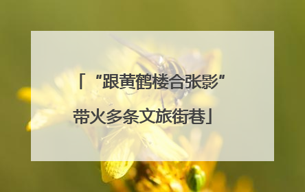 “跟黄鹤楼合张影”带火多条文旅街巷