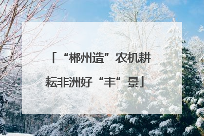“郴州造”农机耕耘非洲好“丰”景
