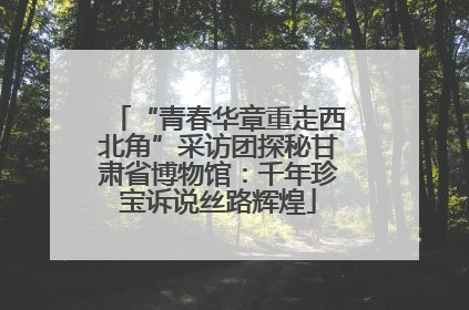 “青春华章重走西北角”采访团探秘甘肃省博物馆：千年珍宝诉说丝路辉煌