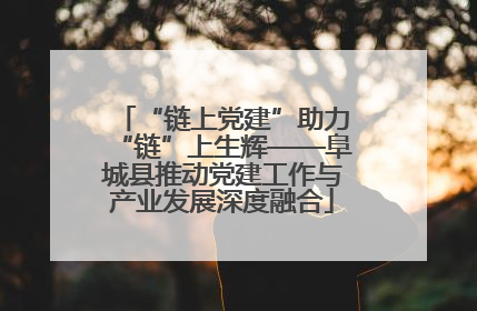 “链上党建”助力“链”上生辉——阜城县推动党建工作与产业发展深度融合