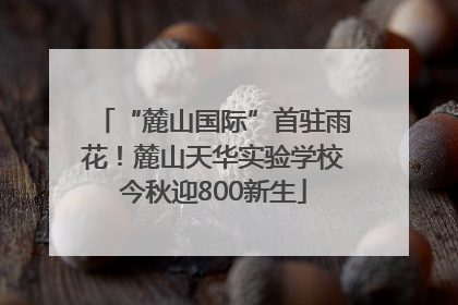 “麓山国际”首驻雨花！麓山天华实验学校今秋迎800新生