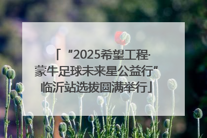 “2025希望工程·蒙牛足球未来星公益行”临沂站选拔圆满举行