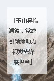 玉山县临湖镇：党建引领添助力 银发先锋展担当
