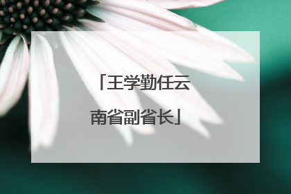 王学勤任云南省副省长
