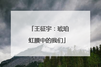 王征宇：琥珀虹膜中的我们