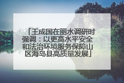 王成国在丽水调研时强调：以更高水平安全和法治环境服务保障山区海岛县高质量发展