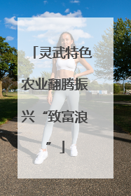 灵武特色农业翻腾振兴“致富浪”