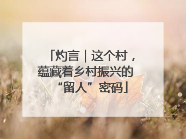 灼言｜这个村，蕴藏着乡村振兴的“留人”密码