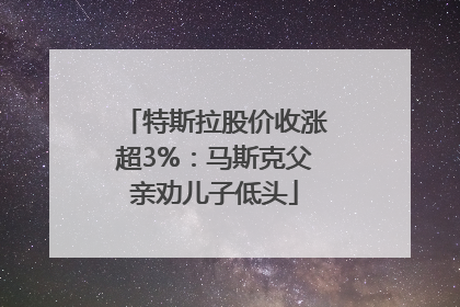 特斯拉股价收涨超3%：马斯克父亲劝儿子低头