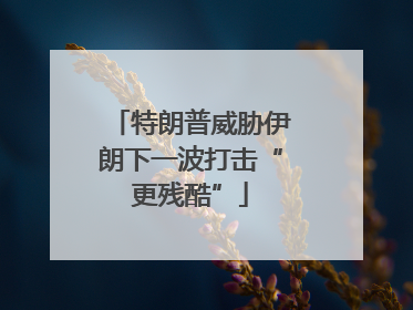 特朗普威胁伊朗下一波打击“更残酷”