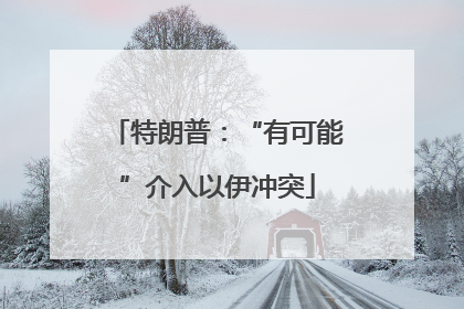 特朗普：“有可能”介入以伊冲突
